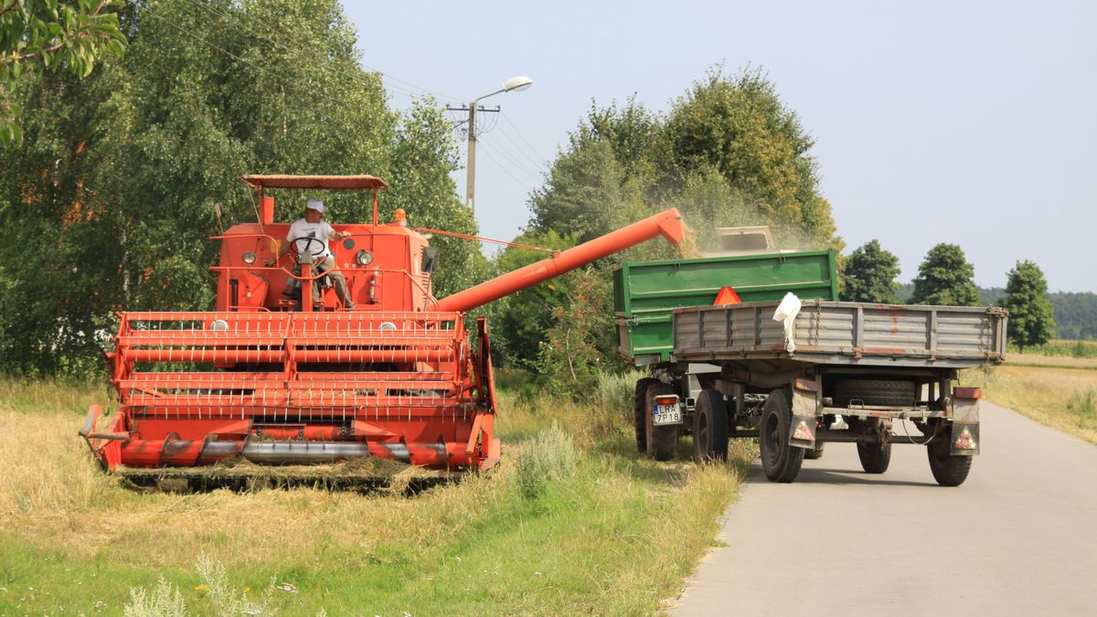 kombajn, bizon, żniwa, maszyna rolnicza, rolnictwo, gospodarstwo, gospodarka, zboże, pszenica, koszenie, prace polowe, żyto, owies