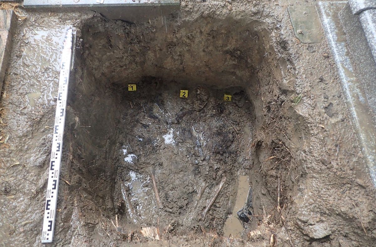 Polacy znaleźli masowy grób. Reakcja Niemców. "Świetna robota"