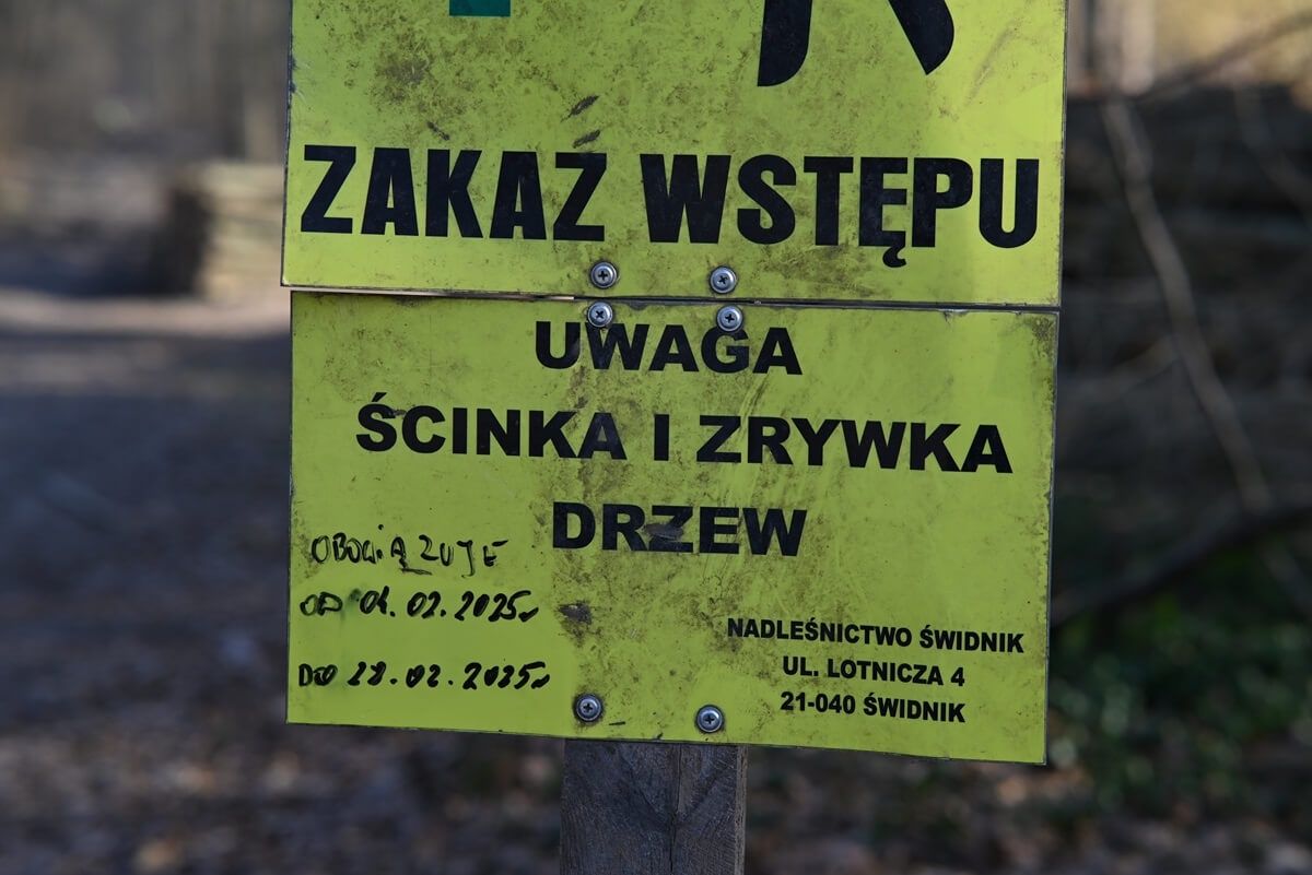 Zakaz wstępu do lasu Dąbrowa koło Zalewu Zemborzyckiego