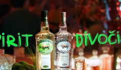 Chromatique nową agencją obsługującą Żubrówkę