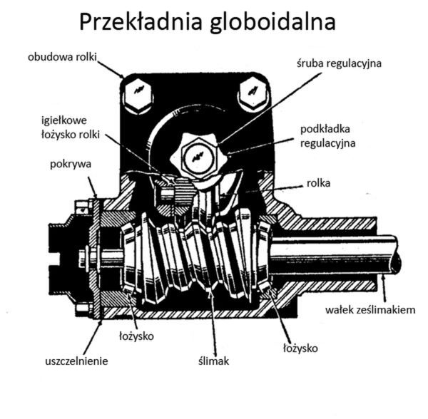 Budowa przekładni globoidalnej