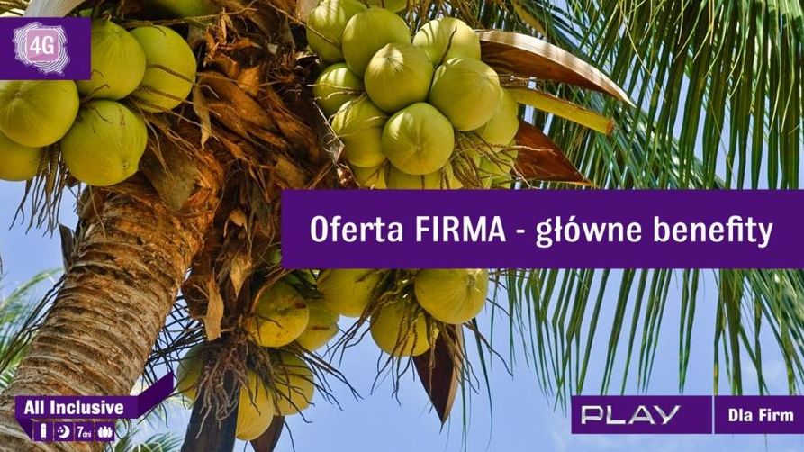 All Inclusive dla firm w sieci Play - szczegóły oferty 1