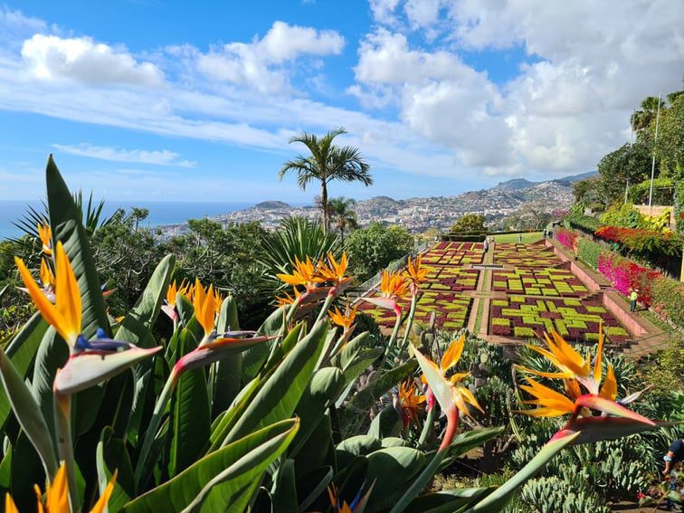 Ogród botaniczny w Funchal