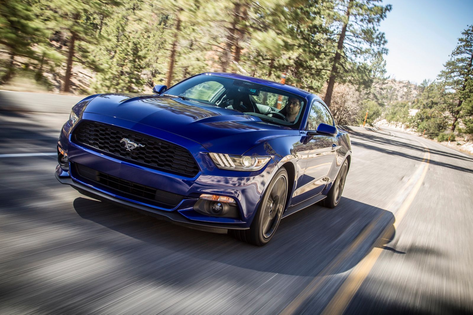 Zobacz Forda Mustanga 2015 na 100 nowych zdjęciach! 21