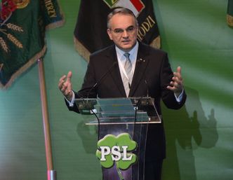 Piechociński-Pawlak to powtórka z duetu Krzaklewski-Buzek?