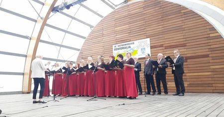 Senioralia w Ostrowcu – Fotogaleria