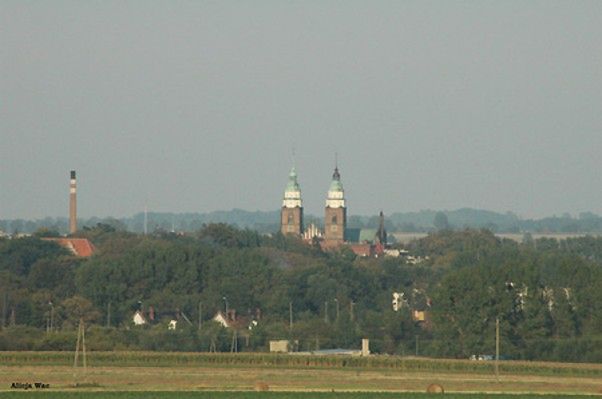 Obraz