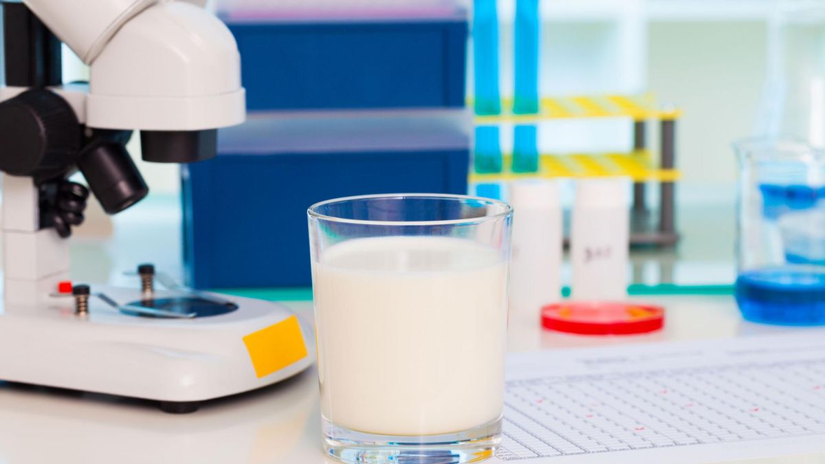 Mleko a napoje roślinne