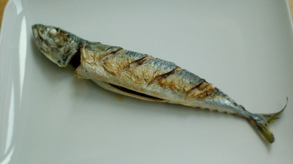 Makrela pacyficzna poddana obróbce wysuszającej mięso