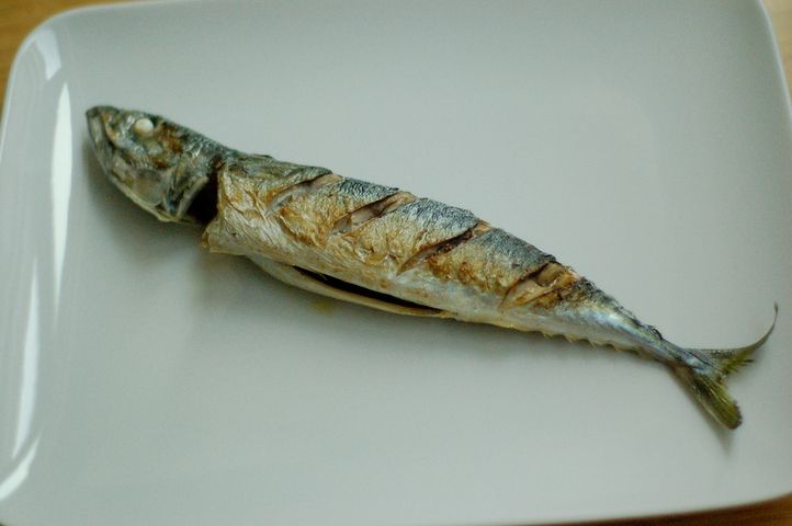 Makrela pacyficzna poddana obróbce wysuszającej mięso