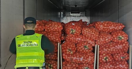 Przemyt na granicy. Oto co skrywała ciężarówka z cebulą