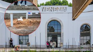 Rozgościła się i złożyła jaja. Zakaz zakłócania spokoju mewy na biennale w Wenecji