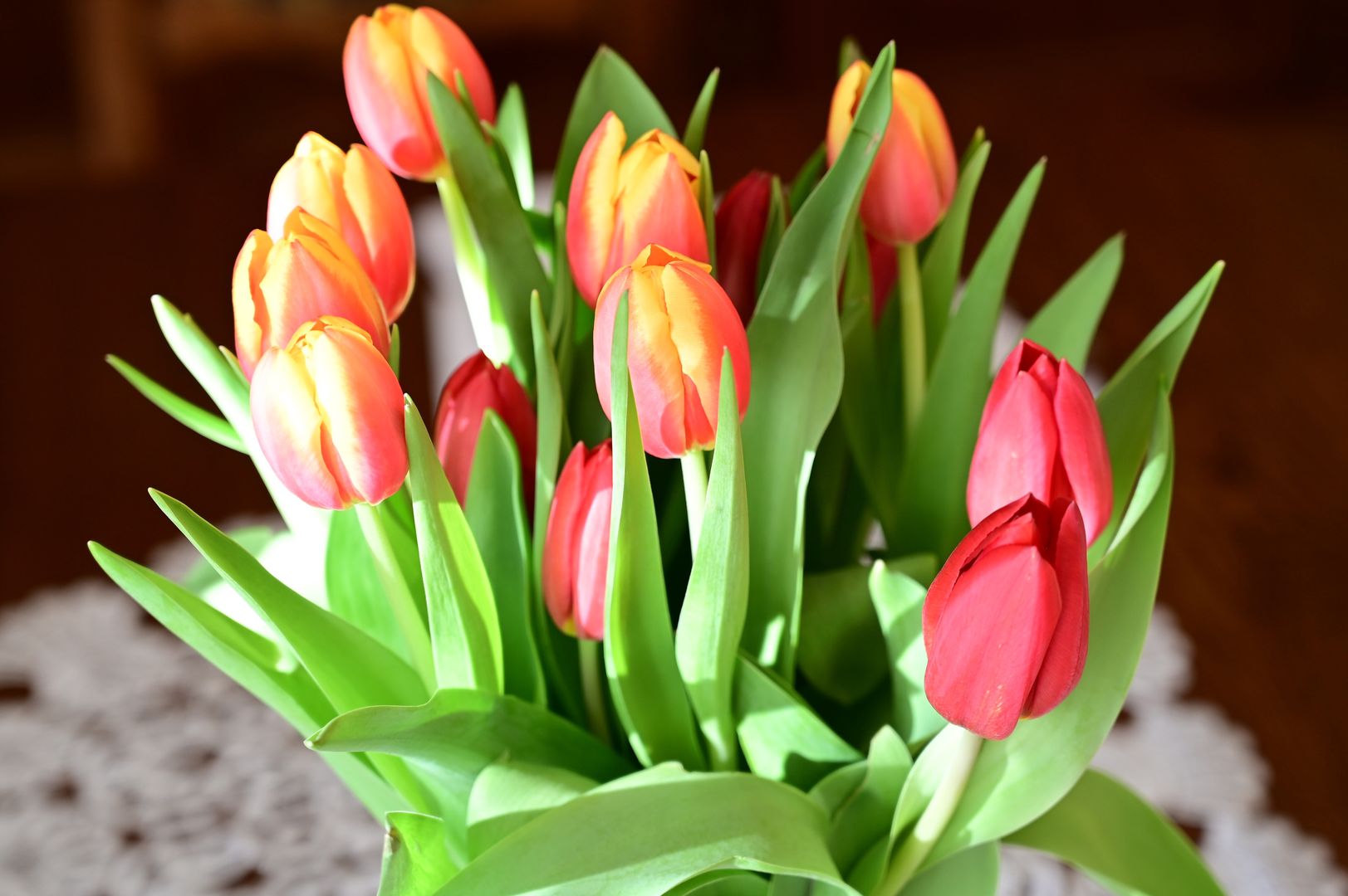 Tulipany