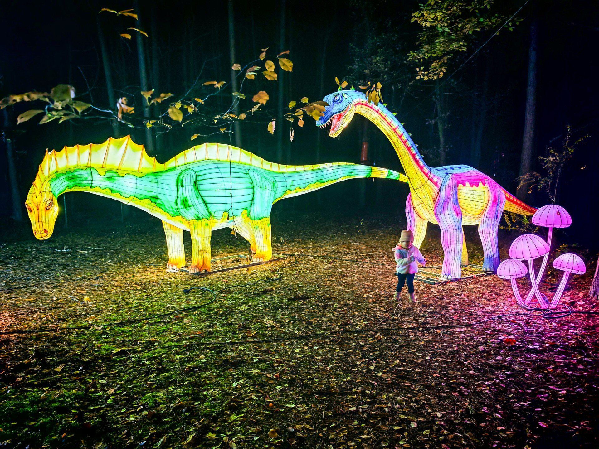 Lumina Park w Bydgoszczy - zdjęcia z sezonu 2025/2026.