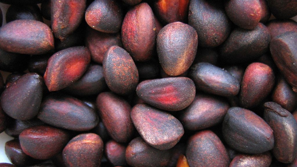 Prażone orzeszki piniowe