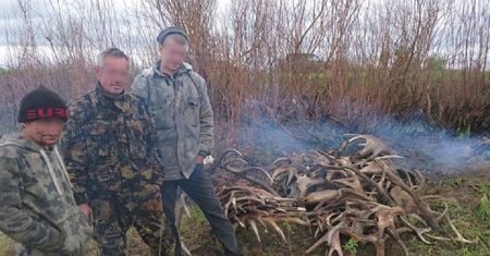Nielegalny proceder w Czarnobylskiej Strefie Wykluczenia. Ukraińcy zatrzymani