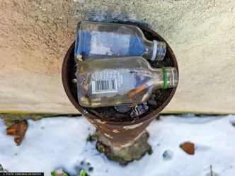 Kaucja na tzw. małpki? Prezes operatora kaucyjnego jest na "tak"