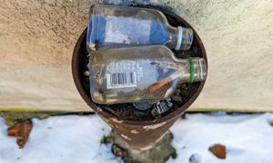 Kaucja na tzw. małpki? Prezes operatora kaucyjnego jest na "tak"