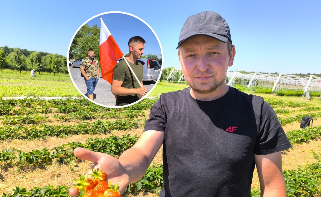 Truskawkowy strajk w Opolu Lubelskim. Mateusz Jurak na swojej plantacji w Kopaninie Kamieńskiej