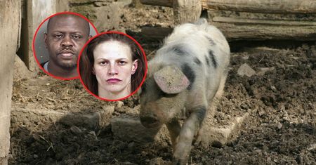 Torturowali 7-latka, później jego ciało rzucili świniom. Przełom w sprawie