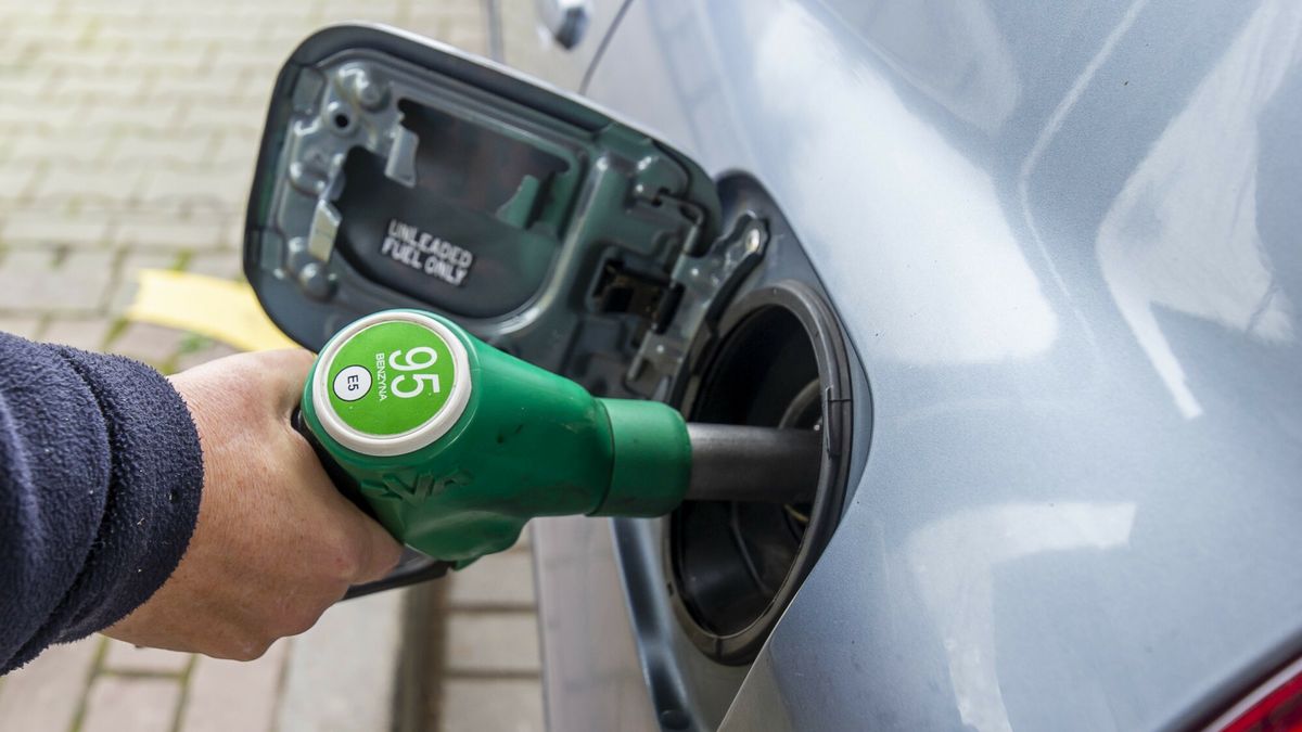 reporter_baza_2022-11
11.11.2022 N/z tankowanie samochoduFot. Stanislaw Bielski/REPORTER
Stanislaw Bielski/REPORTER