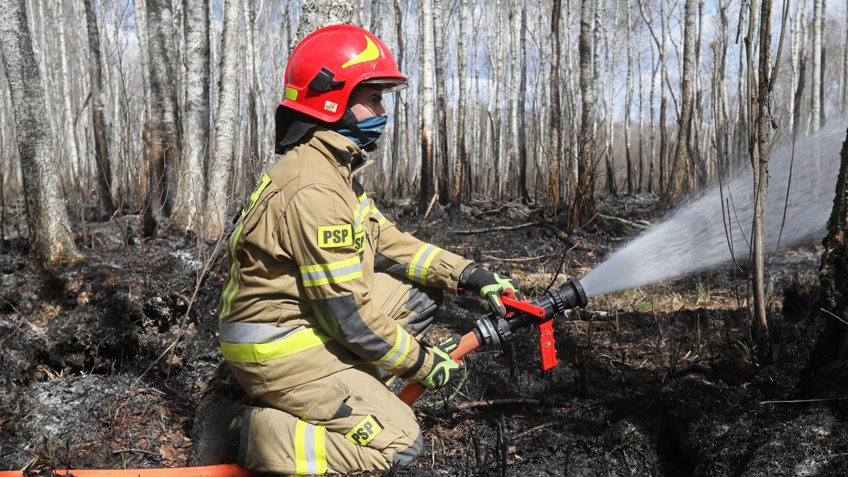 Dyrektor Biebrzańskiego Parku Narodowego odwołany.