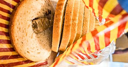 Odkrycie w chlebie w kętrzyńskim ośrodku dla cudzoziemców