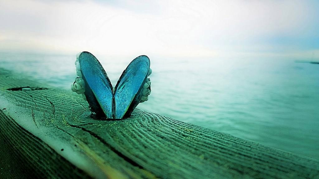 Tak fotografuje się Lumiami! 15