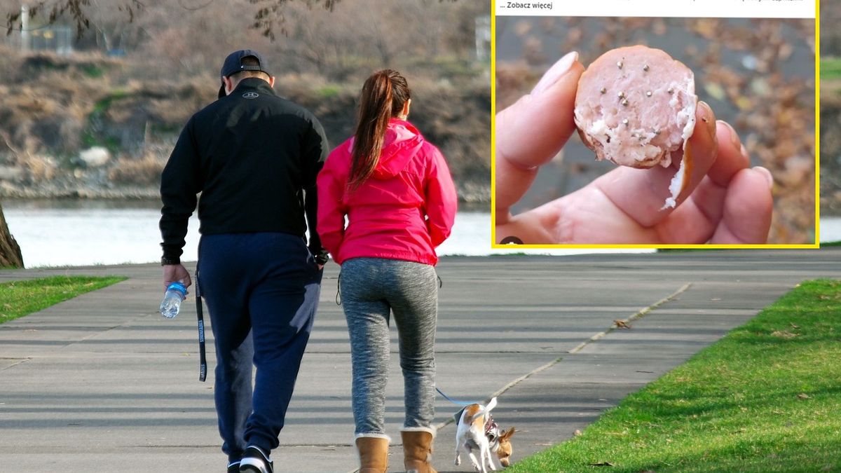 Ktoś nadziewa kiełbasę ostrymi przedmiotami w Toruniu 