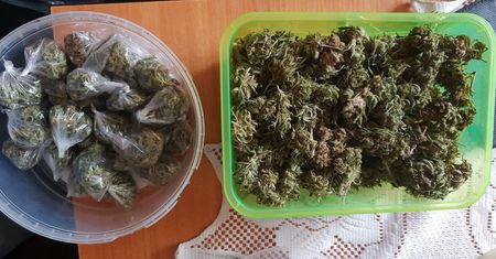 Marihuana ukryta w pudełku po żelkach