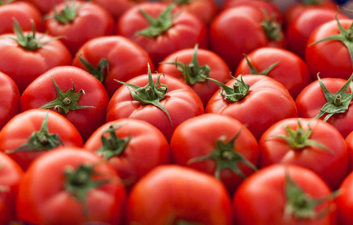Pomidory z Włoch sprzedawane jako polskie. Inspekcja Handlowa skontrolowała sklepy