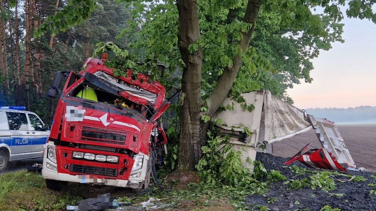 Ciężarówka uderzyła w drzewo w Sosnowicy