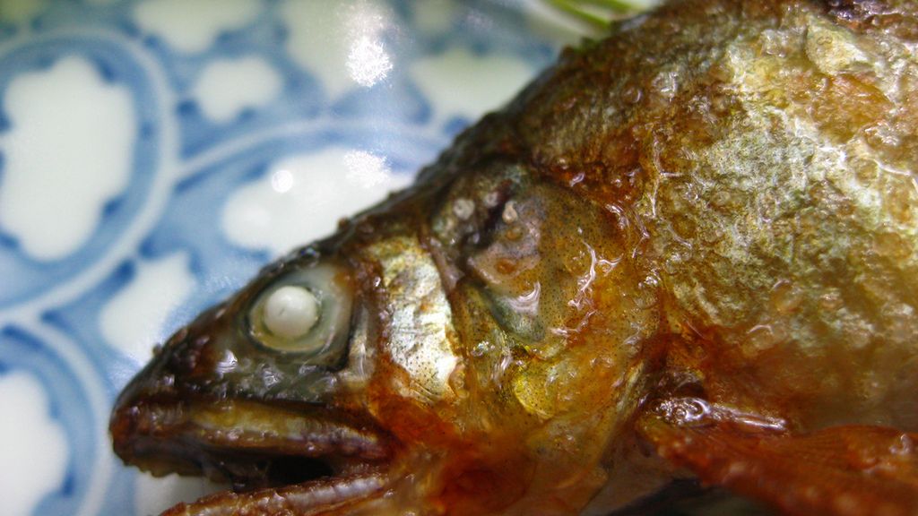 Czukuczan biały poddany obróbce wysuszającej mięso