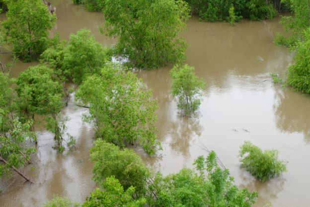 23 ofiary śmiertelne powodzi w Wirginii Zachodniej