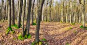 Podlasie: Cenne przyrodniczo obszary pod ochroną. Nowe rezerwaty przyrody