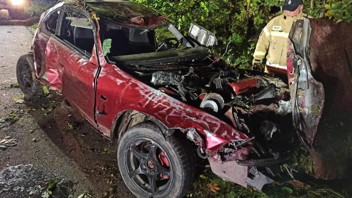 Tragedia w Ogrodnikach