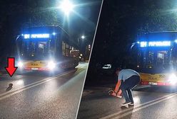 Jeż w opałach. Pomógł mu kierowca autobusu