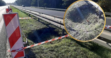 Setki ogromnych zapadlisk. Jest reakcja Ministerstwa Klimatu
