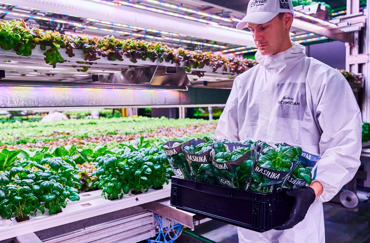 Künstliche Intelligenz revolutioniert die Gartenarbeit im Supermarkt