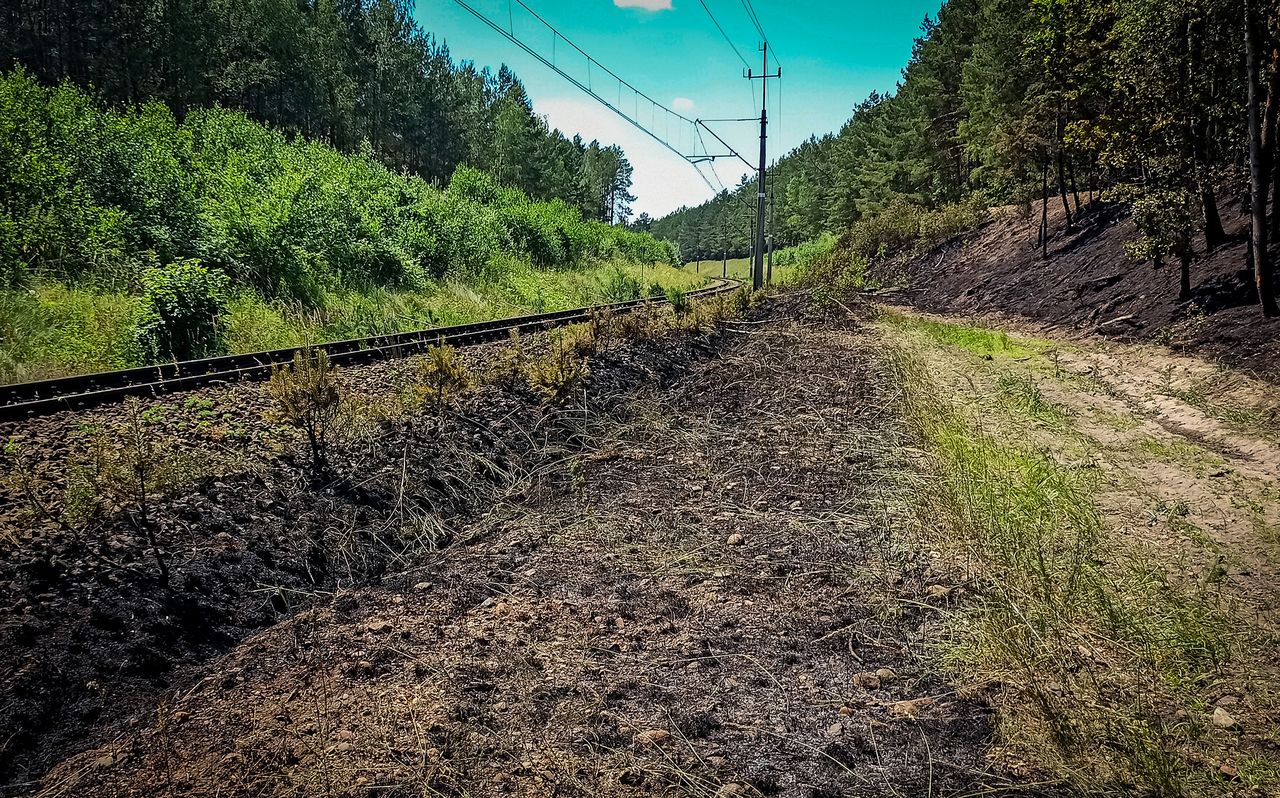 Pożar torowiska i ściółki leśnej koło Starej Łubianki