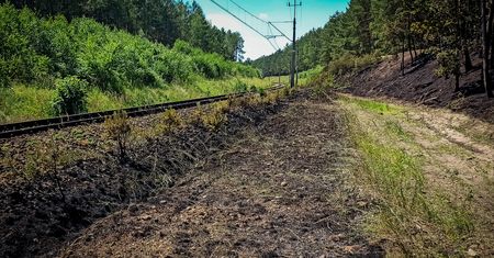 Pożar torowiska i ściółki leśnej koło Starej Łubianki