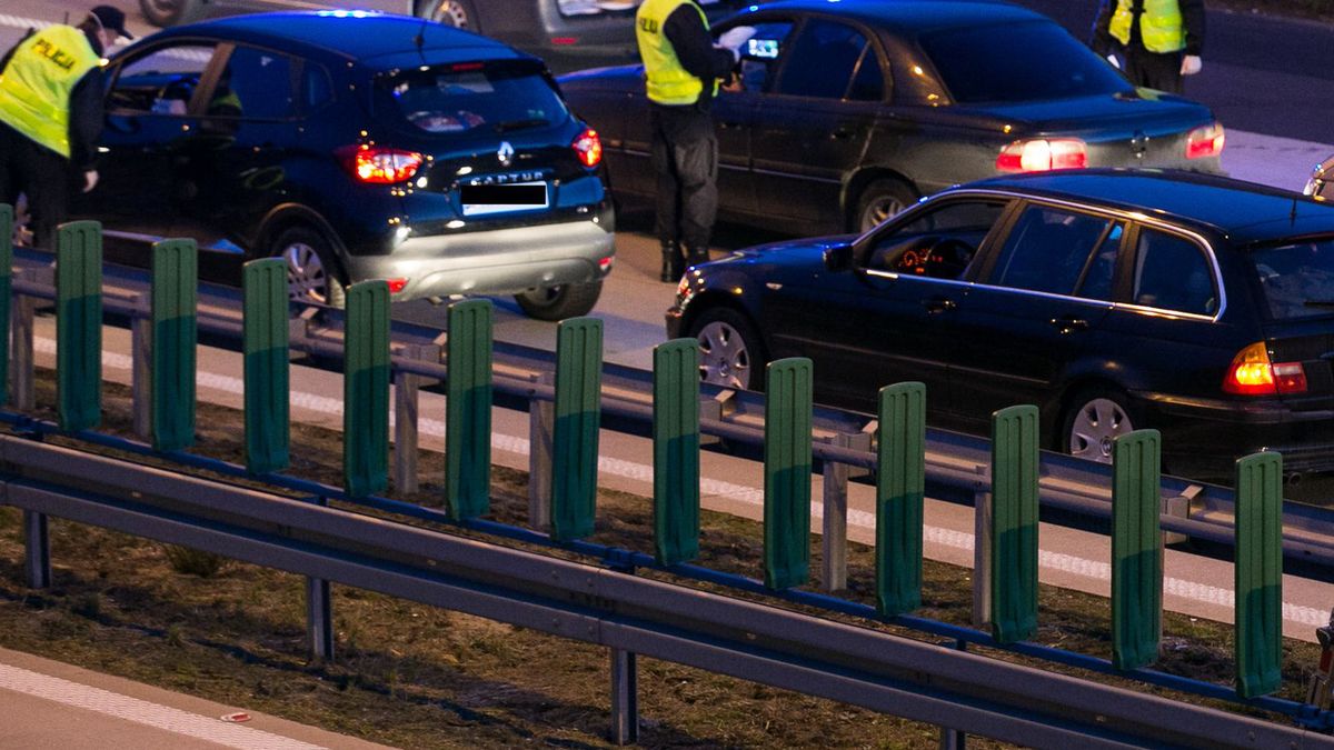 Polska policja podczas kontroli