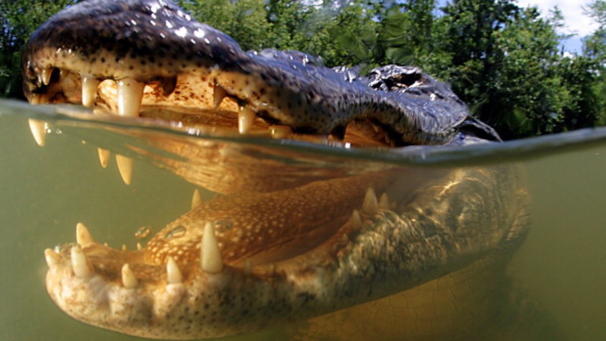 Po huraganie Ida wiele miast zostało dotkniętych powodzią. W wodzie kryje się śmiertelne zagrożenie 