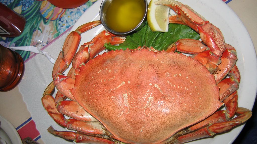 Kieszeniec magister poddany obróbce nawilżającej mięso