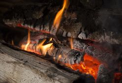 Wartość opałowa drewna. Czym najlepiej palić w kominku? 