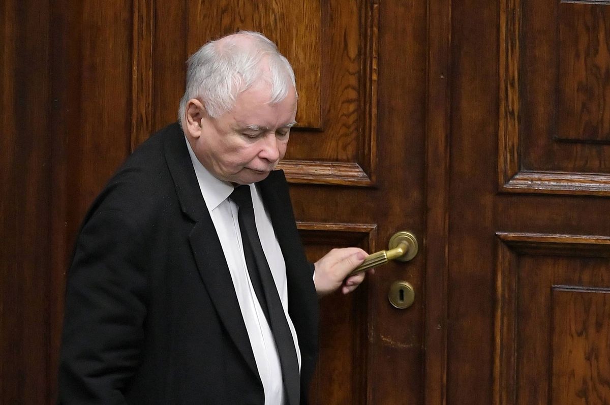 Kaczyński na TikToku wzywa do poparcia ustawy. Odpowiedź na akcję #StopFurChallenge