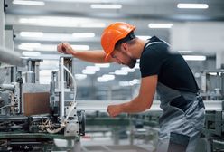 Polska firma przejęła niemieckiego potentata. Znamy go m.in. z Ikei