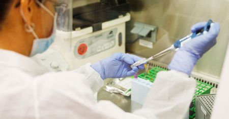 Naukowcy są przerażeni. Śmiertelny grzyb może wywołać kolejną pandemię