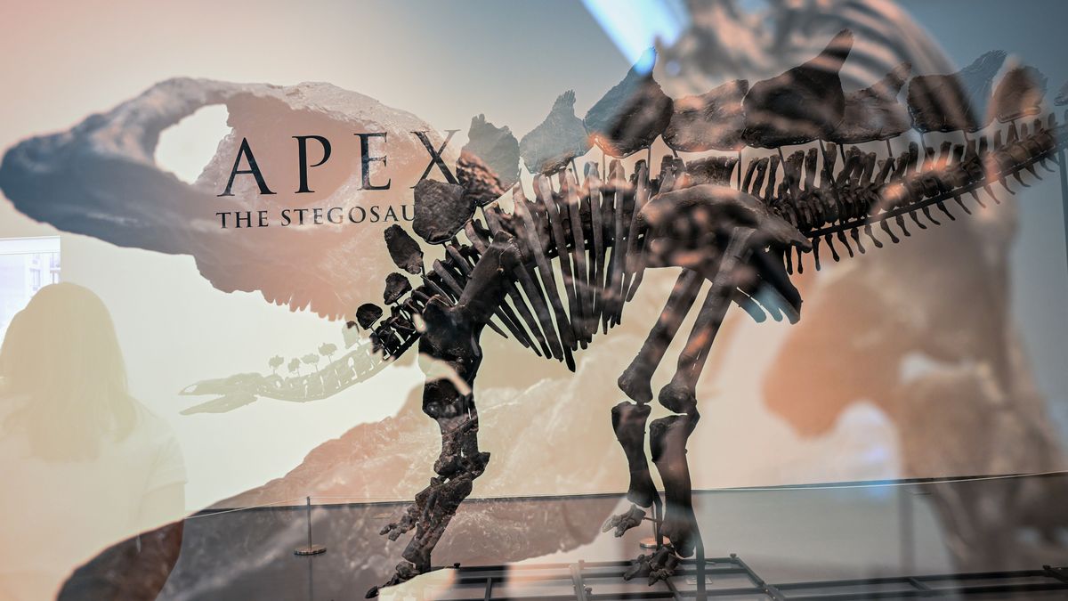 Za ten szkielet milioner zapłacił równowartość  180 mln zł.