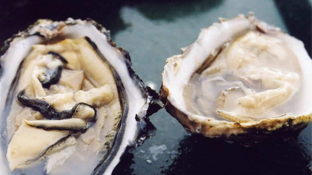 Ostryżyca japońska poddana obróbce nawilżającej mięso